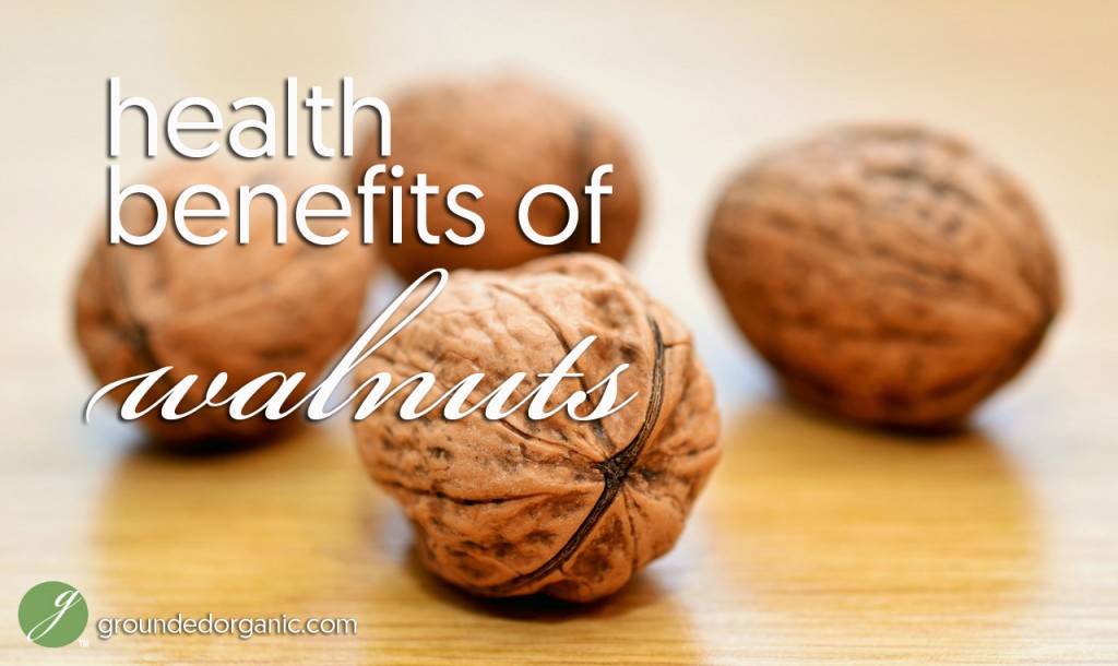 Health Benefits Of Walnuts - Grounded Organic