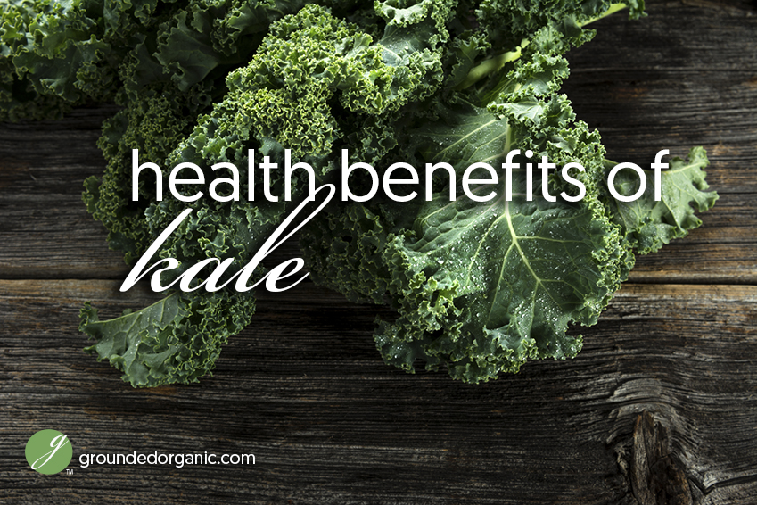 Health Benefits Of Kale - Grounded Organic